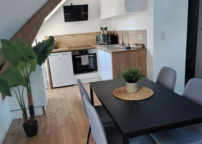 Le Patio, Hyper Centre Rue Au Calme Avec Parking